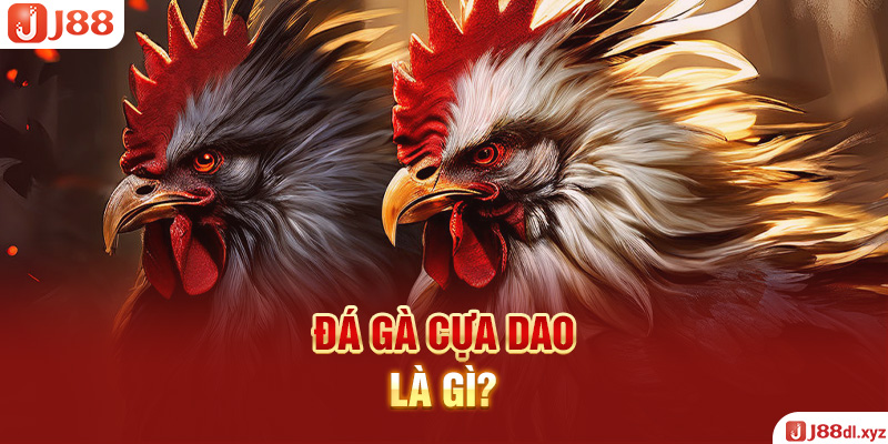 Đá gà cựa dao là gì?