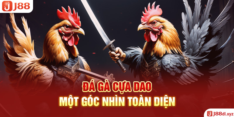 Đá Gà Cựa Dao - Một Góc Nhìn Toàn Diện