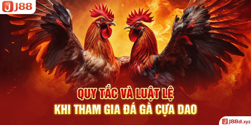 Quy tắc và luật lệ khi tham gia đá gà cựa dao