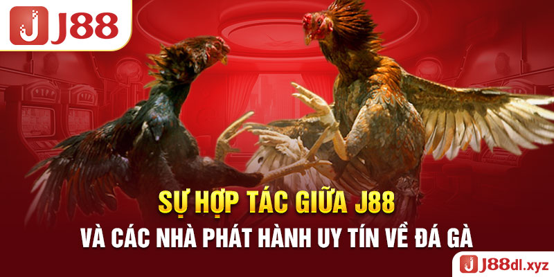 Sự hợp tác giữa J88 và các nhà phát hành uy tín về đá gà